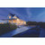 Halo Switch Hardwired LED Bronze Security Floodlight