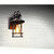 Heath Zenith HZconnect Black Motion-Sensing Incandescent Smart-Enabled Wall Lantern