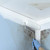 Zinsser White Water-Based Acrylic Mold Killing Primer 1 qt