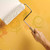 Zinsser B-I-N White Shellac-Based Primer 5 gal