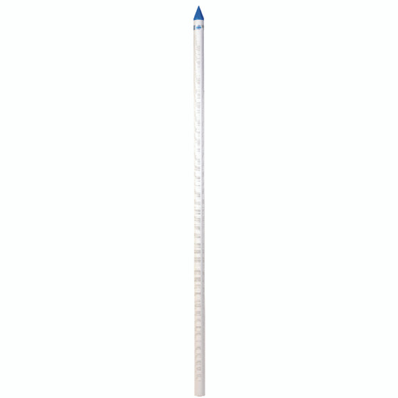 Campbell Brady PVC 1-1/4 in. Well Point