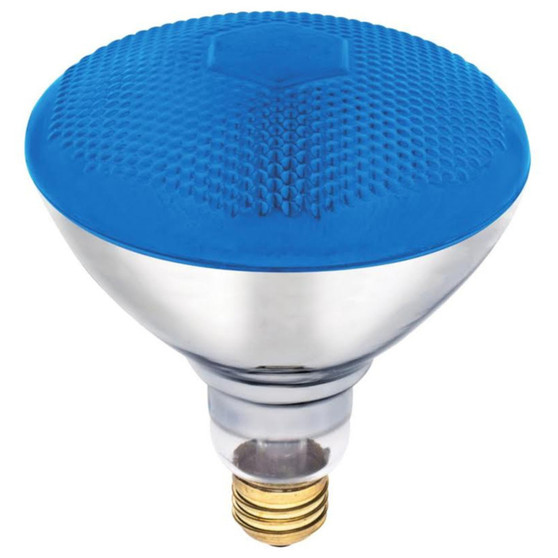 Westinghouse 100 W E26 Reflector Incandescent Bulb E26 (Medium) Blue 1 pk
