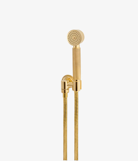 Cielo Wall Mounted Handshower