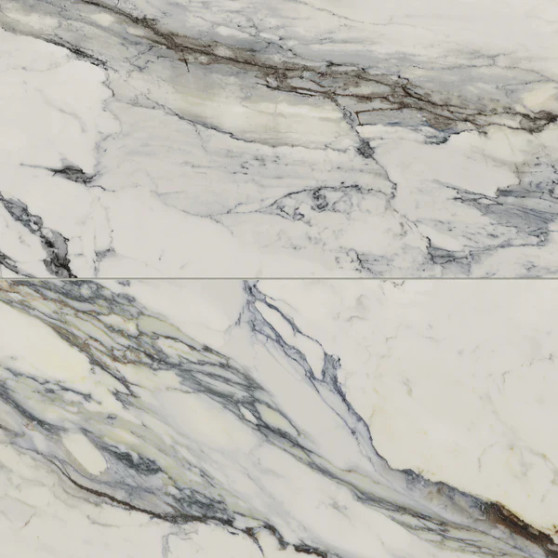 Aniston 24x48 Matte Porcelain Tile in Carrara Bianco