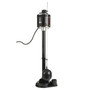 ECO-FLO 1/3 HP 3600 gph Thermoplastic Vertical Float Switch AC Pedestal Sump Pump