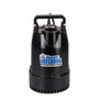 The Basement Watchdog 1/3 HP 3,720 gph Cast Iron Dual Reed Switch AC Backup Sump Pump