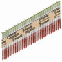 Paslode RounDrive 3-1/2 in. 18 Ga. Angled Strip Hot-Dip Galvanized Framing Nails 30 deg 2,000 pk