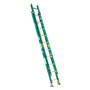 Werner 20 ft. H Fiberglass Extension Ladder Type II 225 lb. capacity