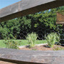 Garden Craft 24 in. H X 25 ft. L Galvanized Steel Poultry Netting 1 in.