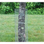 Garden Craft 24 in. H X 5 ft. L Galvanized Steel Hardware Cloth 1/2 in.