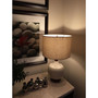 Feit A19 E26 (Medium) LED Bulb Warm White 60 Watt Equivalence 10 pk