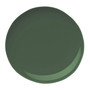 Beyond Paint Matte Forest Green Water-Based Paint Exterior and Interior 1 gal