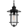 Globe Electric Turner Matte Black 1 lights Pendant Light