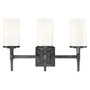 Westinghouse 3 Matte Black Wall Sconce