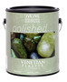 Modern Masters Tint Base Water-Based Venetian Plaster 1 gal