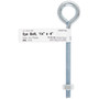 Hampton 1/4 in. X 4 in. L Zinc-Plated Steel Eyebolt Nut Included