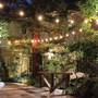 Feit String Lights LED Mix N Match Socket String Light Strand Clear 10 ft. 5 lights