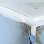 Zinsser White Water-Based Acrylic Mold Killing Primer 1 qt