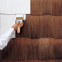 Zinsser Cover Stain White Primer and Sealer 5 gal