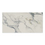 Aniston 24x48 Matte Porcelain Tile in Carrara Bianco