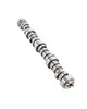 Camshaft 6.0L 2003 Cadillac Escalade ESV - CAM3169.1