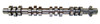 Camshaft 5.4L 2006 Ford Expedition - CAM4173R.2