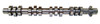 Camshaft 5.4L 2007 Ford Expedition - CAM4173R.3