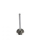 Exhaust Valve 3.4L 1991 Chevrolet Lumina - EV3112.1