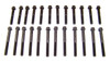 Head Bolt Set 8.0L 2001 Dodge Ram 2500 - HBK1180.8