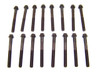 Head Bolt Set 3.4L 2001 Toyota Tacoma - HBK909.28