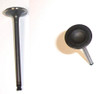 Intake Valve 1.8L 1992 Mazda Protege - IV451.3