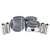 Piston Set 1.6L 2012 Hyundai Accent - P195.1