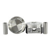 Piston Set 3.9L 2011 Buick Lucerne - P3135.3