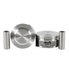 Piston Set 4.2L 2005 Buick Rainier - P3190.2