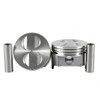 Piston Set 5.0L 1986 Lincoln Town Car - P4112.55