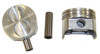 Piston Set 5.0L 1988 Lincoln Town Car - P4113.96