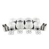 Piston Set 4.6L 1996 Ford Mustang - P4131.1