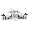 Piston Set 3.0L 2006 Ford Ranger - P4140.5