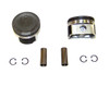 Piston Set 1.8L 2002 Audi TT - P800A.21