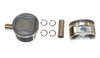 Piston Set 4.0L 2009 Toyota Tundra - P969.26