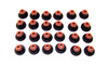 Valve Stem Oil Seal Set 5.4L 2013 Lincoln Navigator - VSS4173.61
