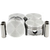 Piston Set P610-KP