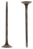 Intake Valve Part # IV238.P