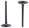 Intake Valve Part # IV3179.P