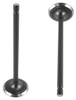 Intake Valve Part # IV4244.P