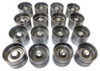 Valve Lifters Set of 16 Part # LFK16319.P