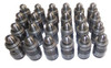 Valve Lifters Set of 24 Part # LFK24280.P