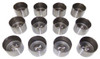Valve Lifters Set of 8 Part # LFK8941.P
