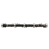 Camshaft - 1985 Chevrolet K20 5.7L Engine Parts # CAM3101HPZE109 Camshaft - 1985 Chevrolet K20 5.7L Engine Parts # CAM3101HPZE109