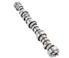 Camshaft - 2002 Cadillac Escalade EXT 6.0L Engine Parts # CAM3169ZE5